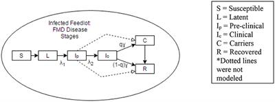 Planning “Plan B”: The Case of Moving Cattle From an Infected Feedlot Premises During a Hypothetical Widespread FMD Outbreak in the United States